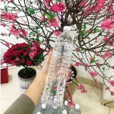 Set 6 chai Nước Tiệt Trùng Anolyte TTA - Giá chỉ 250.000đ, an toàn, hiệu quả 8 Set 6 chai Nước Tiệt Trùng Anolyte TTA - Giá chỉ 250.000đ, an toàn, hiệu quả 8