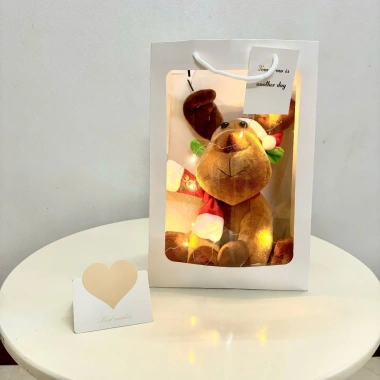 Set quà tặng 2.025 - Combo 4 món: Gấu bông cute, thiệp, đèn nháy, túi mặt kính giá rẻ 121.5k