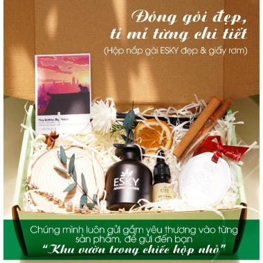 Set Quà Tặng Nam Nữ ESKY Aroma Garden Tinh Dầu Cắm Que Thơm Phòng 100ml - Giá chỉ 319.000 đồng