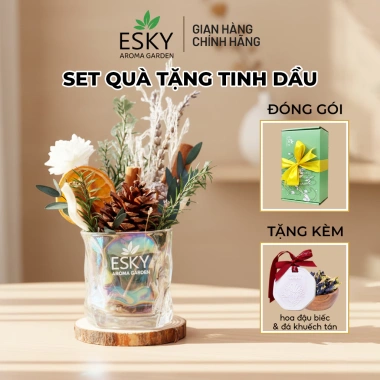 Set Quà Tặng Nam Nữ Ly Hoa Decor Thơm Phòng - ESKY Aroma Garden, Giảm giá 289k