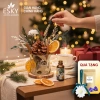 Set Quà Tặng Nam Nữ Ly Hoa Decor Thơm Phòng - ESKY Aroma Garden, Giảm giá 289k 3