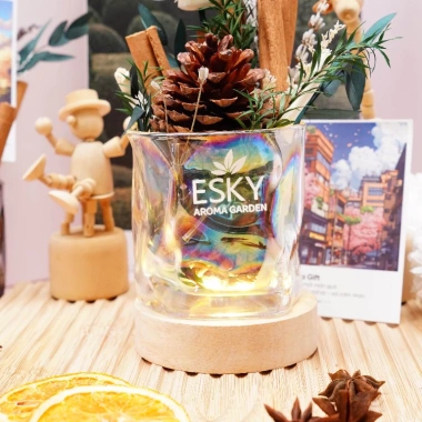 Set Quà Tặng Nam Nữ Ly Hoa Decor Thơm Phòng - ESKY Aroma Garden, Giảm giá 289k