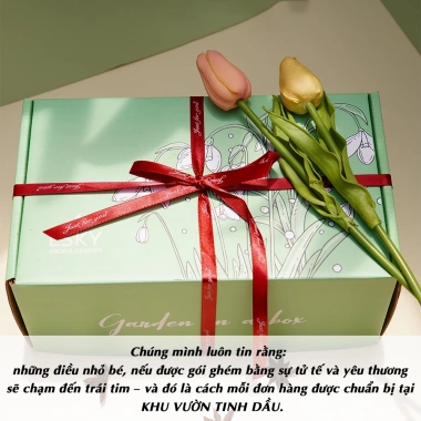 Set Quà Tặng Nam Nữ Tinh Dầu Thơm Cắm Que - Giá 260.000, quà sinh nhật Valentine