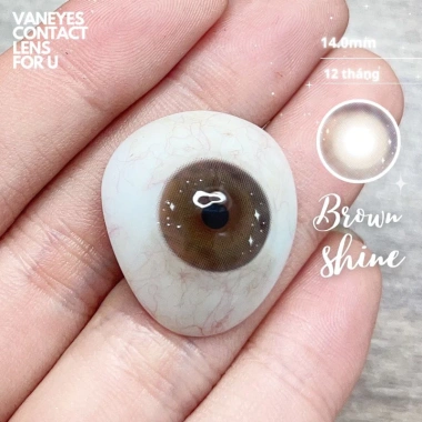Shine Brown VANEYES Kính áp tròng cận 0-7.00 độ màu nâu tự nhiên giảm giá 75.000₫