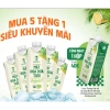 SIÊU NGON Thùng 12 Chai Nước Mật Hoa Dừa Tươi Tiệt Trùng Organic SOKFARM Đặc Sản Mê Kông - Giá 165k 5