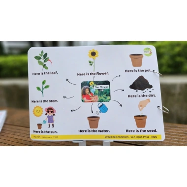 Sơ đồ tư duy Heinemann Level K - Video + File nghe, giảm giá 115k