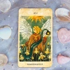 Solar Kingdom Tarot 78 Thẻ Bói - Hành Trình Vũ Trụ, Giảm 20% chỉ 83.160 VND 4