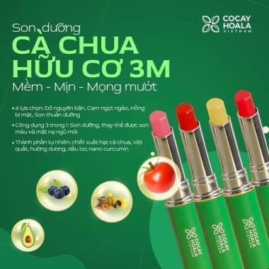Son dưỡng cà chua Cocayhoala Gobo Nature matte 4.5g Organic Xanhsam - Giá chỉ 149.500đ 3