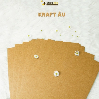 STHM CT 20 tờ kraft Âu kích thước đa dạng - Handmade, DIY, vẽ tranh - Giá 44.000₫ 2