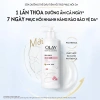 Sữa Dưỡng Thể Olay B3+C – Dưỡng Ẩm, Làm Sáng Da, Hương Nước Hoa Trái Cây, Giá 264.000₫ 9