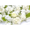 Sữa tắm hoa lài - Xà bông thơm lâu, dưỡng ẩm, làm sạch nhẹ cho da | 150.489 VND 2
