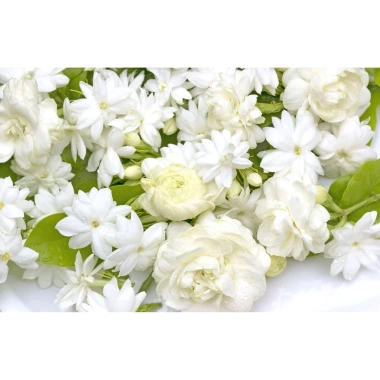 Sữa tắm hoa lài - Xà bông thơm lâu, dưỡng ẩm, làm sạch nhẹ cho da | 150.489 VND