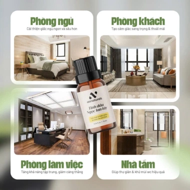 Tặng tinh dầu - Máy khuếch tán ô tô không dùng nước AN Naturals DF002 1.29tr