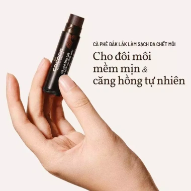 Tẩy Tế Bào Chết Môi Cocoon Chiết Xuất Cà Phê Đắk Lắk 5g - Giá Ưu Đãi 73.000đ