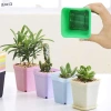 Thảm Lưới Đất Vuông 50 Cái Gói Gazi - Lỗ Lưới Đa Năng, Bảo Vệ Đất, Giá 32.890 VND 3