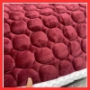 Thảm trải giường nỉ nhung cao cấp mùa đông kháng khuẩn 1 sezi 1.6-2.2m Giá chỉ 145.000 VNĐ 6