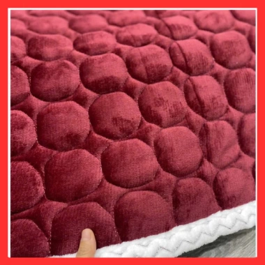 Thảm trải giường nỉ nhung cao cấp mùa đông kháng khuẩn 1 sezi 1.6-2.2m Giá chỉ 145.000 VNĐ