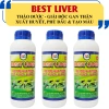 Thảo dược Best Liver - Giải độc gan, xuất huyết, tái tạo tế bào máu, giảm giá 225.000đ
