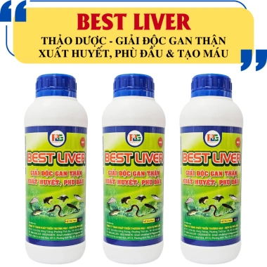 Thảo dược Best Liver - Giải độc gan, xuất huyết, tái tạo tế bào máu, giảm giá 225.000đ
