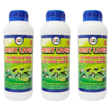 Thảo dược Best Liver - Giải độc gan, xuất huyết, tái tạo tế bào máu, giảm giá 225.000đ