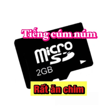 Thẻ nhớ tiếng cúm núm gà đồng đánh đêm - Bao ăn chim, giảm giá 149.000₫ 2 Thẻ nhớ tiếng cúm núm gà đồng đánh đêm - Bao ăn chim, giảm giá 149.000₫ 2