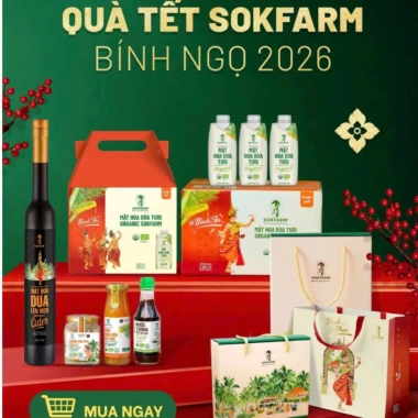 Thùng 12 chai Mật Hoa Dừa Tươi SOKFARM - Nước tiệt trùng thơm ngon, giá 295.000₫
