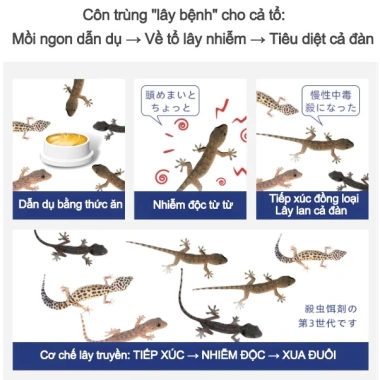 Thuốc Đuổi Tắc Kè & Thằn Lằn Hiệu Quả Ngay - Chiết Xuất Thảo Dược An Toàn, Xịt Phòng & Treo Tường, Giá Ưu Đãi 73,968₫
