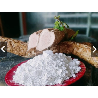 Tinh bột sắn dây Hữu cơ Thanh Tùng NB-Xanhsam – Giá ưu đãi 325.000₫, organic chuẩn 9