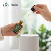 Tinh Dầu Bamboo Nguyên Chất ESKY AROMA GARDEN - Xông Phòng, Thông Mũi, Đuổi Muỗi 10ml/20ml Giá Ưu Đãi 148k 2