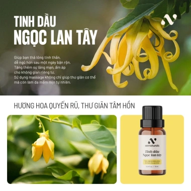 Tinh dầu nguyên chất hương Ngọc Lan Tây 10ml - Cao cấp, giá ưu đãi 219.000 VND