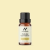 Tinh dầu nguyên chất hương Ngọc Lan Tây 10ml - Cao cấp, giá ưu đãi 219.000 VND 5