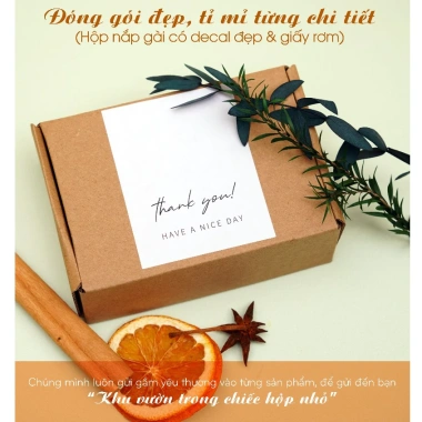 Tinh Dầu Quế ESKY AROMA GARDEN - Thơm Phòng Khử Mùi Đuổi Muỗi 10ml 20ml 79.000đ 3