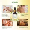 Tinh dầu tràm gió Dr.Papie Giữ ấm, phòng cảm lạnh cho bé, giá 145.000 6