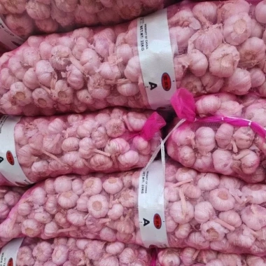 Tỏi Lụa 1Kg - Tỏi Củ Khô Sạch Đẹp, Hàng Mới Ngày Mới, Loại Ngon Chắc Củ, Giá 36.000đ 7