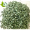 Trà Cỏ Ngọt Đọt 100gr - Chăm sóc răng miệng, hỗ trợ dạ dày, giá chỉ 86.000đ 4