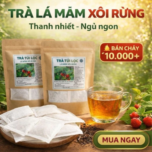 Hình ảnh sản phẩm Trà Lá Mâm Xôi 60 túi lọc - Hỗ trợ niêm mạc tử cung, điều hòa nội tiết, giá chỉ 89k