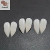 Trang Phục Halloween Bloodcurdling Ma Cà Rồng Người Sói - Phương Răng Giả Fad COD Giá 34.320 VNĐ 7