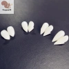 Trang Phục Halloween Bloodcurdling Ma Cà Rồng Người Sói - Phương Răng Giả Fad COD Giá 34.320 VNĐ 8