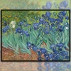 Tranh Van Gogh Iris Chữ Thập Thêu Độc Đáo Phong Cách Châu Âu - Sơn Dầu Full Thêu, Giá Giảm 328.084₫