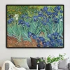 Tranh Van Gogh Iris Chữ Thập Thêu Độc Đáo Phong Cách Châu Âu - Sơn Dầu Full Thêu, Giá Giảm 328.084₫ 2