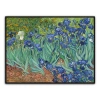 Tranh Van Gogh Iris Chữ Thập Thêu Độc Đáo Phong Cách Châu Âu - Sơn Dầu Full Thêu, Giá Giảm 328.084₫ 4