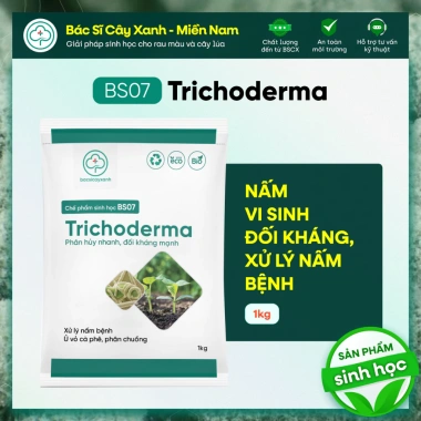 Trichoderma BS07 - Nấm Vi Sinh Đối Kháng, Phòng Nấm Đất, Cải Tạo Đất Tơi Xốp, 133.000