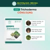 Trichoderma BS07 - Nấm Vi Sinh Đối Kháng, Phòng Nấm Đất, Cải Tạo Đất Tơi Xốp, 133.000 2