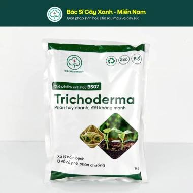 Trichoderma BS07 - Nấm Vi Sinh Đối Kháng, Phòng Nấm Đất, Cải Tạo Đất Tơi Xốp, 133.000 3 Trichoderma BS07 - Nấm Vi Sinh Đối Kháng, Phòng Nấm Đất, Cải Tạo Đất Tơi Xốp, 133.000 3