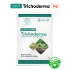 Trichoderma BS07 - Nấm Vi Sinh Đối Kháng, Phòng Nấm Đất, Cải Tạo Đất Tơi Xốp, 133.000 6