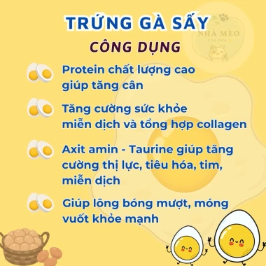 Trứng sấy Lòng Đỏ Gà khô - Dinh dưỡng cao cho chó mèo, giảm giá chỉ 27.405₫ 2