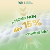 Tushie Treats Tã/Quần Siêu Mỏng Eo Đệm Mây Công Nghệ Nhật Bản Size NB-XXXL 105k 3