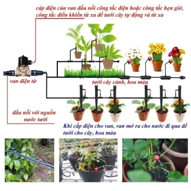 Van điện từ nước MONQIQI 21/27/34 220V - Điều khiển điện tử, chỉ 99.000₫ 4