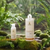 Vệ sinh bồn cầu tự nhiên hương khuynh diệp Fuwa3e 500ml - XanhSam Organic, giá chỉ 107.500đ 3