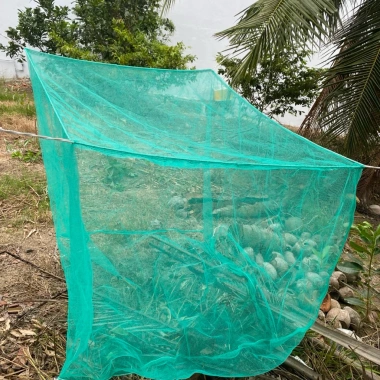Vèo nuôi cá, tráng nuôi ếch, nuôi ốc có nắp đậy - Nhiều size, mắt lưới 3,5 ly, giá ưu đãi 205.500₫ 2